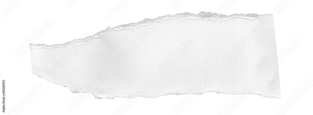 Stylish Ripped Paper Texture