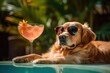 © Postproduction - Golden Retriever dog basking in the sun, wearing stylish sunglasses and sipping a tropical drink by the poolside. Generative AI