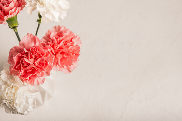  Pink carnations in a white vase on a white table. Top view. Place for text.