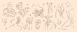 © TWINS DESIGN STUDIO - Minimal hand drawn line art vector set. Aesthetic line art design with  woman body, faces, hands, butterflies, leaves, flower. Abstract drawing for wall art, decoration, wallpaper, tattoo.