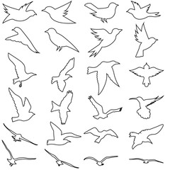 Wall Mural - birds icon vector set. animals illustration sign collection. nature symbol.