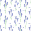 vector seamless summer floral pattern lavender 