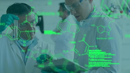 Canvas Print - Animation of chemical structures against two diverse male scientists working at laboratory