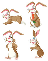 Wall Mural - set of rabbit cartoon in different pose