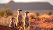 A majestic Meerkats roaming a vast desert landscape. Created with Generative AI Technology