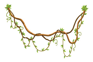Twisted wild lianas branches banner. Jungle vine plants. Woody natural tropical rainforest, exotic botany. Woody natural branches