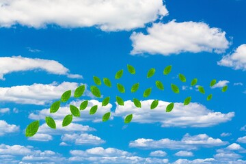 Wall Mural - beautiful blue sky with green leaves in the wind.