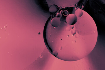 Wall Mural - abstract pink background with water drop and circles