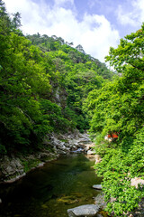 Wall Mural - The beautiful deep valley fall landscape.