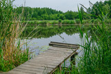 Fototapeta  - Pomost drewniany wystający nad taflę wody, otoczony zielenią traw i drzew