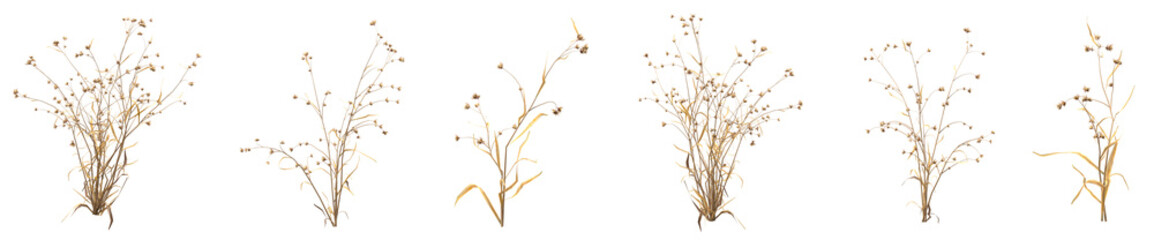 set of dead plant and dry grass with isolated on transparent background. png file, 3d rendering illu
