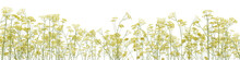 Set Of Yellow Flowers With Isolated On Transparent Background. PNG File, 3D Rendering Illustration, Clip Art And Cut Out