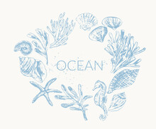Vector Ocean Nature Background. With Sketches Of Seashells