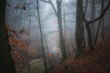 Fototapeta Las - Im Nebel