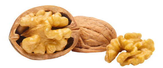 Wall Mural - Delicious walnuts cut out