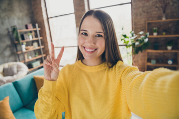 Poster - Portrait of pretty cheerful girl beaming smile take selfie record video hand fingers demonstrate v-sign house indoors