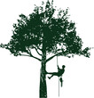 © Nestudio - Hand drawn tree with a climber on a white background.Tree pruning. Vector.