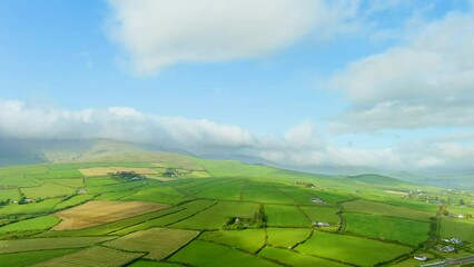 Wall Mural - Aerial view of endless lush pastures and farmlands of Ireland's Dingle Peninsula