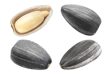 Set of black sunflower seeds, cut out