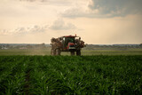 Fototapeta  - Red sprayer working on the field of corn 