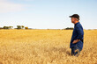 © Designpics - Side view of a farmer standing in a fully ripened grain field during the fall harvest; Alcomdale, Alberta, Canada