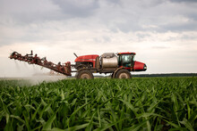 Red Sprayer Working On Field Of Corn 