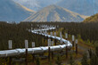 © Designpics - Part of the Trans-Alaska oil pipeline system; Alaska, United States of America