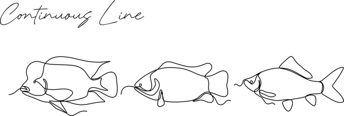 Wall Mural - fish continuous line drawing set