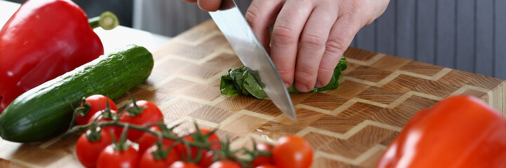 Wall Mural - Male hands cut green fragrant leaf of sorrel or lettuce. Cutting vegetables for salad with sharp knife