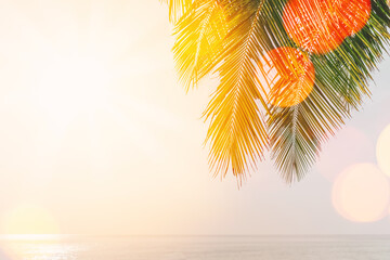 Wall Mural - tropical palm tree with sun light on sunset sky and cloud abstract background.