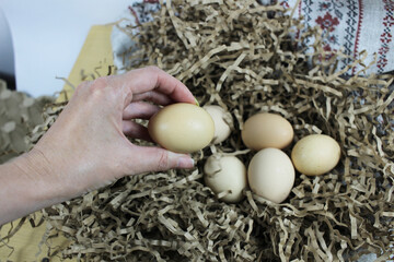 brown and white chicken eggs on straw