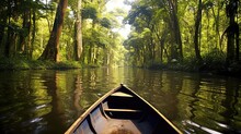 Sailing In A Boat Through The Flooded Forest In Amazon
