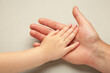 © Mouse family - Father holding daughter hand on grey background.
