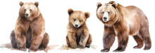 Watercolour Illustration Collection Of Three Brown Grizzly Bears Isolated On White Background As Transparent PNG, Generative AI Animal Clipart Bundle