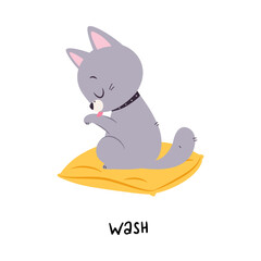 Sticker - Funny Grey Cat Washing as English Verb for Educational Activity Vector Illustration