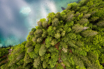 Wall Mural - Green pine tree forest at emerald lake. Aerial drone view, top down. Beauty in nature
