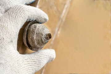  man's hand in a protective work glove removes a wasps nest