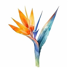 Poster - Cute watercolor strelitzia flower. Illustration Generative AI.