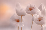 Fototapeta Kwiaty - Białe tulipany abstrakcja. Generative AI
