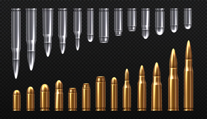 Silver and gold bullets set