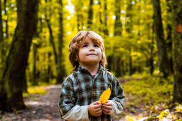 Autumn dream. Kid dreams on autumn nature. Childhood dream concept. Daydreamer child. Dreams and imagination. Dreamy kids face.