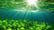 Single-celled organisms, such as phytoplankton, that lose their ability to perform photosynthesis efficiently due to changes in ocean water chemistry. Oceanic acidosis and climate change
