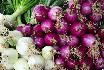 Purple and white onions at a local farmer's market