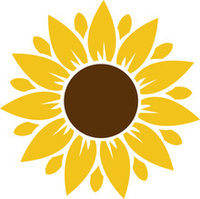 Sunflower Illustration Svg Vector