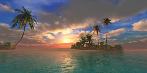 Wall Mural - Palm trees on the beach, seascape with palm trees at sunset, beach with palm trees at sunset, ocean with palm trees shore, 3d rendering