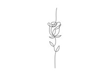 Continuous One Line Drawing Of Rose Flower Vector Illustration. Premium Vector.