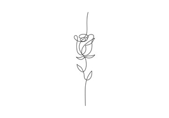 continuous one line drawing of rose flower vector illustration. premium vector.