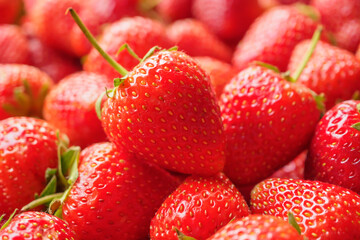 Wall Mural - Fresh organic red strawberry fruit background