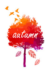 Wall Mural - Autumn tree red watercolor. Vector illustration