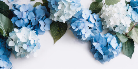 Wall Mural - Blue Hydrangea or hortensia mockup. Flower blossom composition with petals. Top view, flat lay. Greeting card, template, cover.  Botanical design. Generative ai